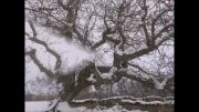 طبیعت زمستانی روستای مسک