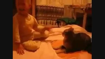 عاقبت سیلی زدن به گربه!!!ته خنده