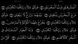 القرآن الکریم -55- سورة الرحمن- سعدالغامدی