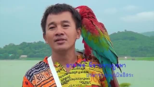 روز پرندگان در کشور تایلند و پرواز آزادانه طوطی ها