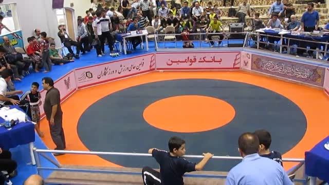 چرخ چمنی سید حسین حسینی نسب مسابقات قهرمانی کشور94