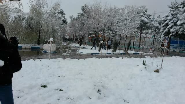 اینجا کرمان- پارک مادر. بارش برف. 20 اسفند 1393