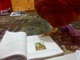 مرغ کتاب خوان