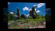 مجسمه های گیاهی - مونترال کانادا 2013
