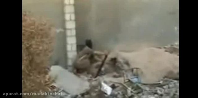 منفجر شدن طوله سگ داعشی