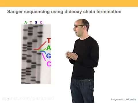 توالی یابی DNA