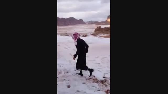 عرب برف ندیده