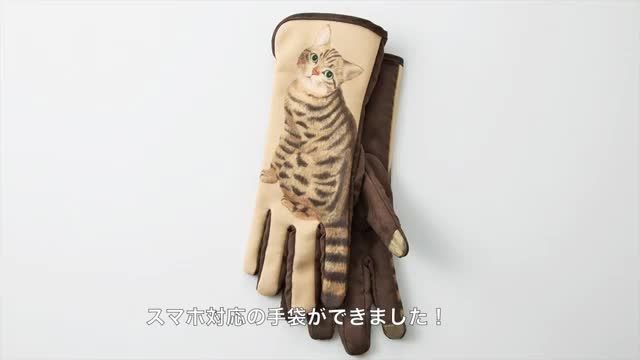 دستکش های گربه ای برای کار با صفحات لمسی گجت ها