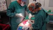 iTube_15586925-Liver Transplant Surgery Dr. Mark Ghobri