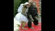 عروسی دو میمون