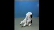 Osoto Gari - 65 Throws of Kodokan Judo