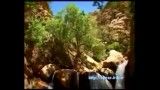 آبشار موری