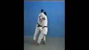 Uki Waza - 65 Throws of Kodokan Judo