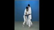Osoto Gaeshi - 65 Throws of Kodokan Judo