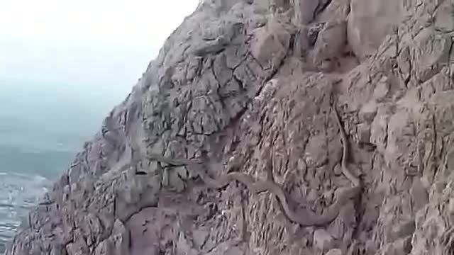 اژدها در کوه صفه اصفهان