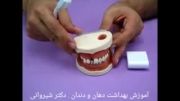 آموزش بهداشت دهان و دندان