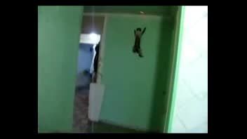 بالا رفتن گربه از دیوار راست