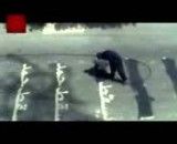 خشم نظامیان آل خلیفه از نوشتن شعار یسقط حمد کف خیابان ها