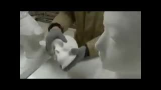 این ویدیو میگه چه جوری مجسمه شله ای بسازید !!!!!!!