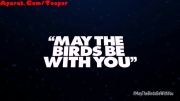 پرندگان خشمگین جنگ ستارگان 2 | Jedi Youngling