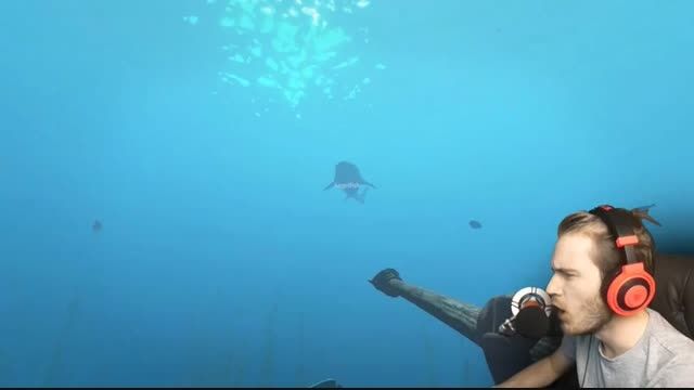 pewdiepie and kawaiiiiiiiii shark