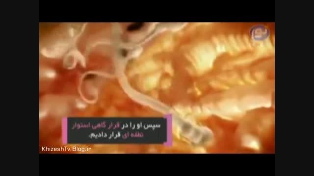 معجزه علمی قرآن | مراحل رشد جنین انسان