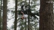 دیوانه بازی روی دوچرخه در جنگل