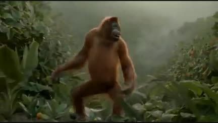 رقص میمون _,خنده