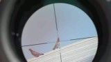 شکار کبوتر باتفنگ بادی بنجامین مارادور کالیبر: 25 (حرکت آهسته)