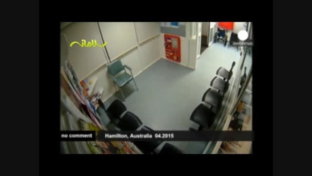 بازدید سرزده یک کوالا از بیمارستانی در استرالیا