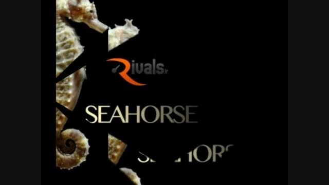 ویدئو آموزشی مجموعه نرم افزار وی اس تی 8Dio Seahorse