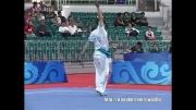 ووشو ، چان چوون ، مسابقات داخلی چین 2013 ، جائو جیه از خوبی