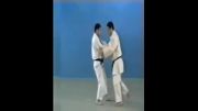 Kouchi Gaeshi - 65 Throws of Kodokan Judo