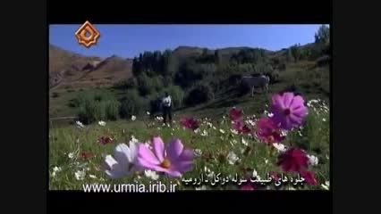 طبیعت زیبای سوله دوکل در دالانپر اشنویه آذربایجان غربی