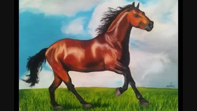 نقاشی من از اسب