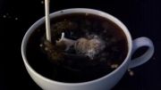 ویدیوی حل شدن قهوه با ثبت 2000 تصویر در ثانیه - زومیت