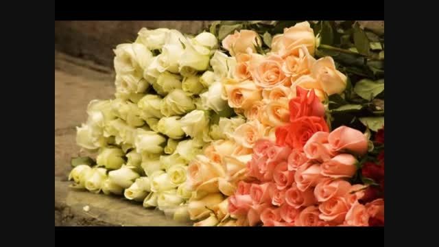 غزل 410- ای قبای پادشاهی راست بر بالای تو