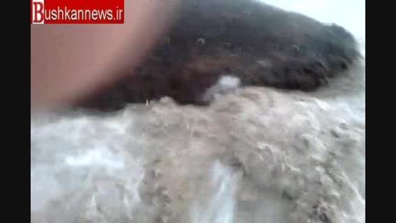 سیلاب در روستای شلدان