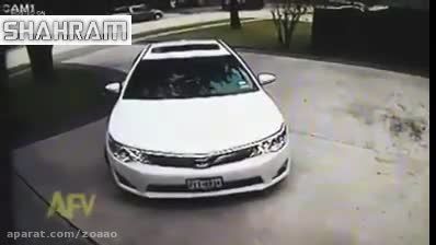 زن+ماشین=تصادف