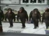 رقص میمون ها(خیلی باحال)