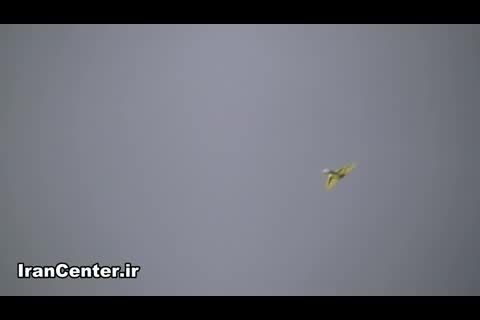 پرواز هواپیمای جت ایران سنتر-حتماببینید
