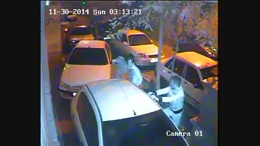 دزدی از اتومبیل ها