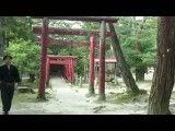 آخرین نینجا در ژاپن