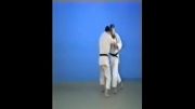 Sasae Tsurikomi Ashi - 65 Throws of Kodokan Judo