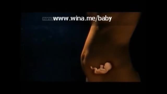 رشد جنین - قسمت دوم
