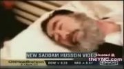 زنده شدن(صدام حسین) ملعون پس از اعدام.....