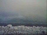 دریا كنار (دریاچه ارومیه )