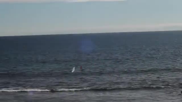پرواز یک گلایدر رادیوکنترل در کنار دریا