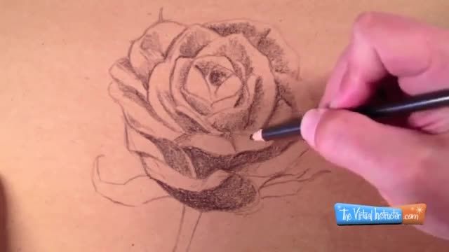 چگونه با مداد رنگی یک گل رز بکشیم
