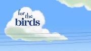انیمیشن کوتاه پرندگان